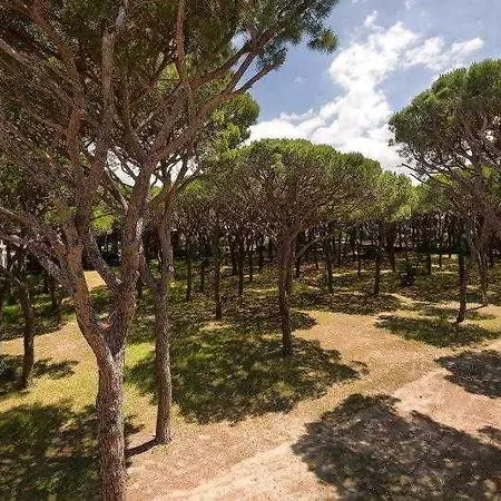 Leopoldo Castiglioncello