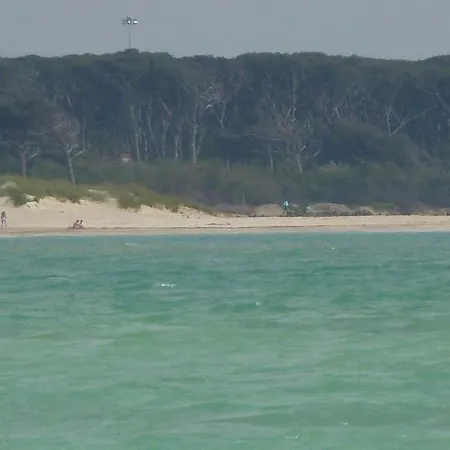 Leopoldo Castiglioncello